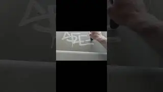 Posca Mop'r Graffiti Tag on Train! 