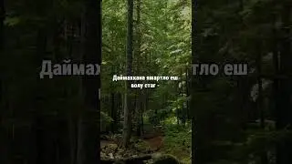 13. Даймахках лаьцна. ГIиллакхийн хазна – Ирсан некъаш