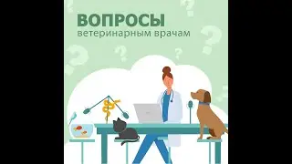 Подкаст: "Вопросы ветеринарным врачам" Меликова Ю.Н: как вести себя с онкологией