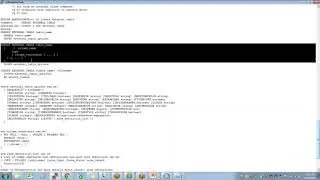 7 IBM Netezza External Tables