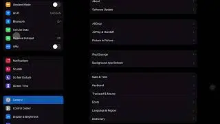 How to make the cursor (mouse pointer) small on iPad? (for iPadOS 14+  14.2)