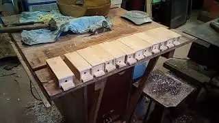 Микронуклеус на 10 пчелок вид