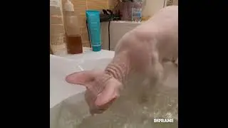 Ляля