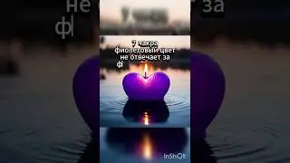 Часть 2. Программные свечи и их влияние на человека