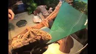 MyStream 6