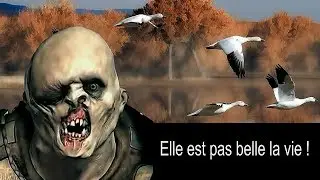Plus belle la vie