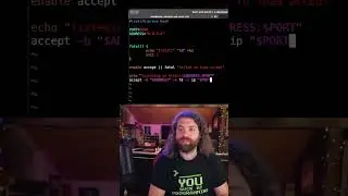 loading a plugin in bash and listening on a socket! the start of an HTTP server.