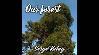 Serge Kulay - Our forest