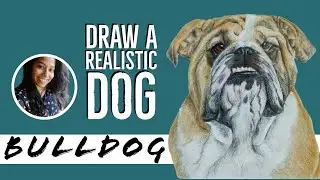 Draw a realistic dog | Bulldog | Pencil colors | #9 of dogseries | Sruthy Sk