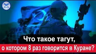 Что такое тагут, о котором 8 раз говорится в Куране? Абу Ханзала