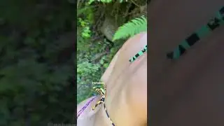 Nevia mara climbing having some fun