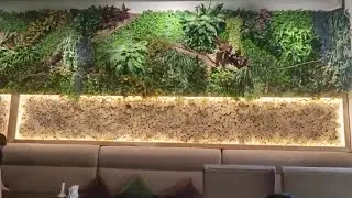 Кафе rice кук-сига гап йуқ