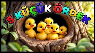 Beş Küçük Ördek | Saymayı Öğreten Neşeli Çocuk Şarkısı