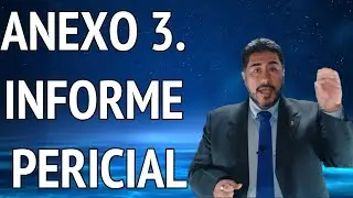 ANEXO 3. INFORME PERICIAL
