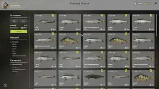 Русская рыбалка 4. р. Волхов, ищем новые точки.