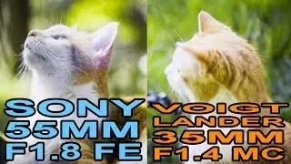 Sony A7S test: Voigtlander MC 35mm f1.4 & Sony FE 55mm f1.8