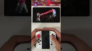 Raiden Fatality Nintendo Switch MK11 