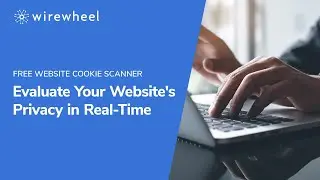 Evaluate Your Website's Privacy in Real-Time