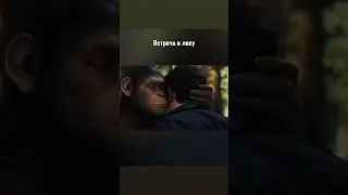 Студент в лесу 