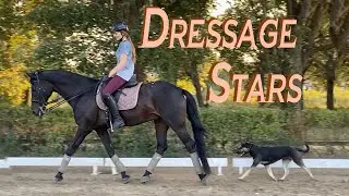TWO Dressage Stars in One Arena! Tack Up With Us. Riding after a break | LanaZavada