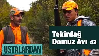 Tekirdağ Boar Hunting 2 Episode 2 From the Masters - Yaban Tv - Wildboar Hunting - hunting videos