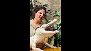 Coconut is one Hungry Gator😱🤩