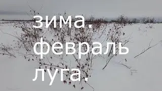 Февраль 2024 года. Катаемся на толкаче по зимним рекам Пет и Оке.