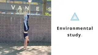 Environmental study - Hiddenbody