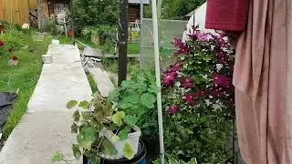 Курятник из профильной трубы