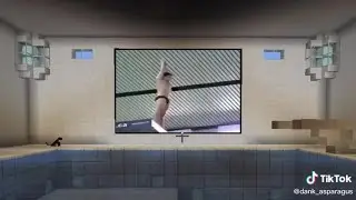 TIKTOK MINECRAFT