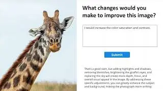 AI Chatbot Feedback in Articulate Storyline Demo