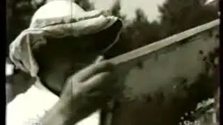 Пчеловодческий совхоз, 1966