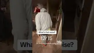 Without shoes/slippers he’s like a ninja sneaking up on me 🤣