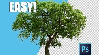 How to REMOVE Backgrounds with COLOR RANGE Tool in Photoshop! Easy and Fast Tips for Beginners!