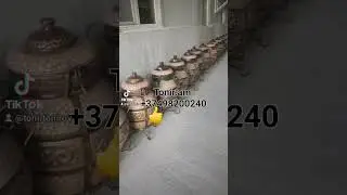17 мая 2023 г.