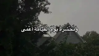 حالات واتس قران كريم بصوت جميل راحه نفسيه 🤍✨