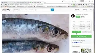 Setting up a Facebook page