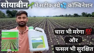 8-12 दिन की सोयाबीन के लिए शक्तिशाली खरपतवारनाशक💪| #herbicide | #kloben | #soyabean