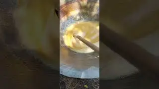 វាត់ស្ករត្នោតខ្មែរ sugar palm