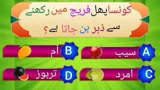 Islamic Question Answer 2024/Urdu Quiz / Best Islamic Question Answer/Islamic GK/ Islamic pahelyan .