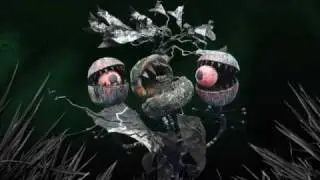 Stop Motion Puppet Animation: Venus Fly Trap, NSAD