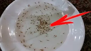 ОГО СКОЛЬКО РОДИЛА!!!