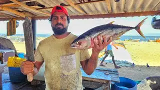 Huge Tuna Fish Cutting Skill | Fastest Skipjack Tuna Fish Cutting Skill | Mr.Sampath