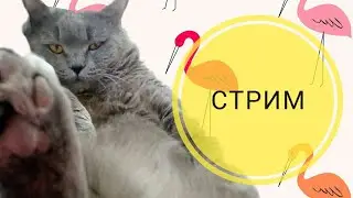 Стрим по игре Авакин лайф
