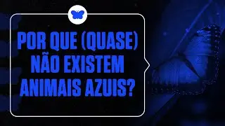 Por que (quase) não existem animais azuis?