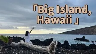 I found sea turtles and Kona coffee in Big Island, Hawaii
