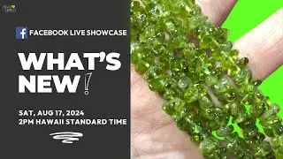 Facebook Live: What's New