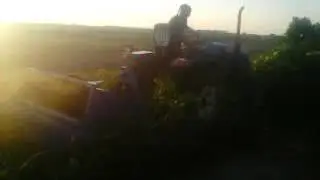 Мульчирователь