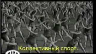 Evergreen Terrance - Dogfight