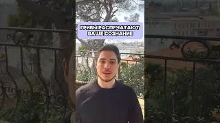 Что грибы могут вам открыть ?